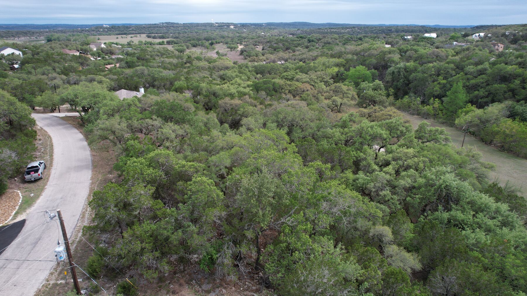 Aerial of the paved road curling past the front of the lot at 183 Palm, with the wooded lot filling the right of the frame