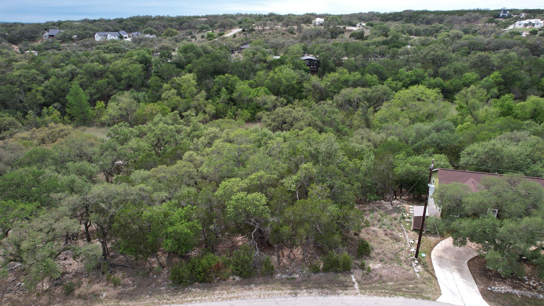 The lot at 183 Palm seen from the air above its road frontage, with the frontage running along the bottom of the frame and wooded ground falling away behind it