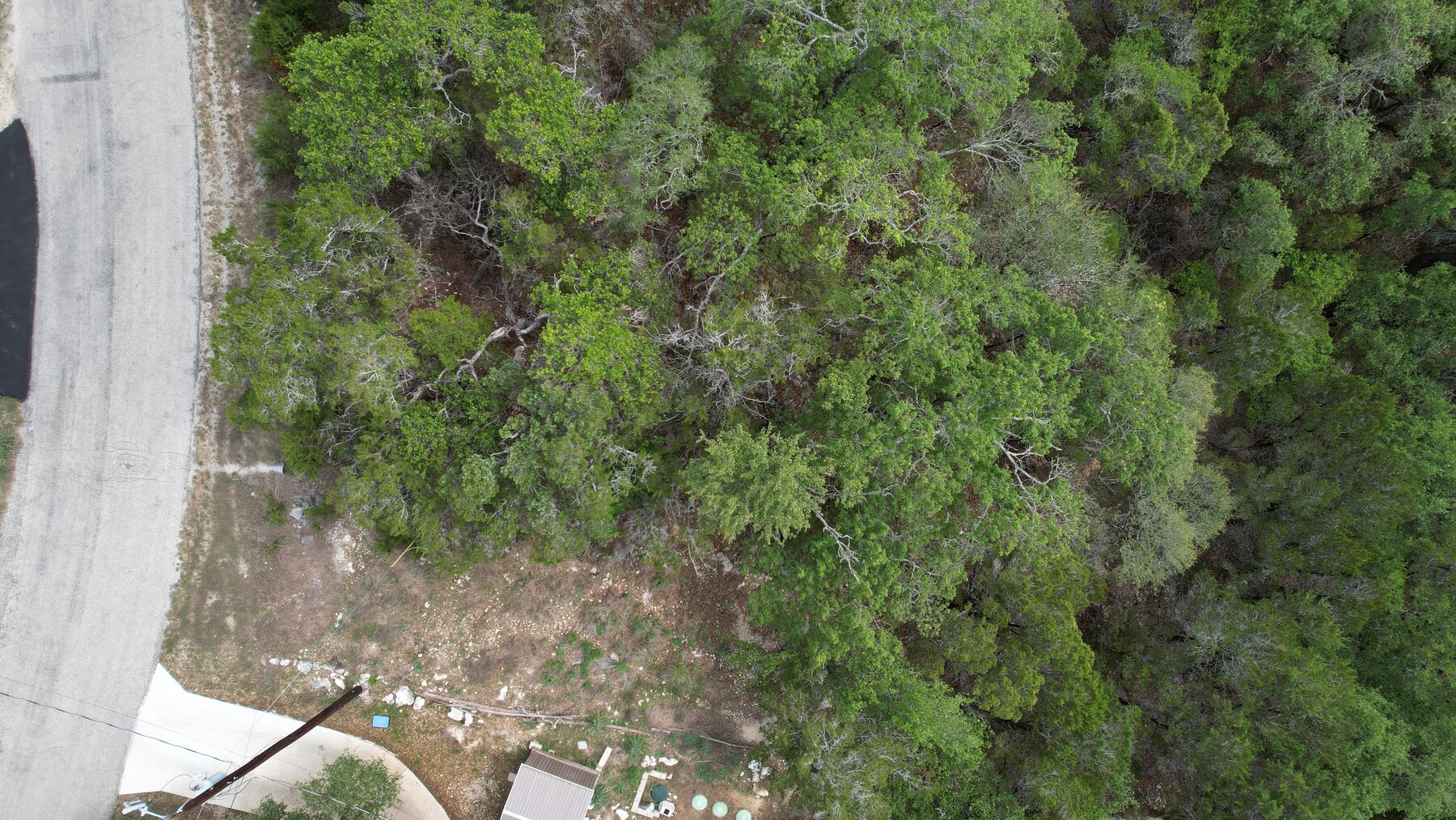 Nadir drone frame straight down at the front corner of the lot at 183 Palm, where cleared rocky ground meets the road