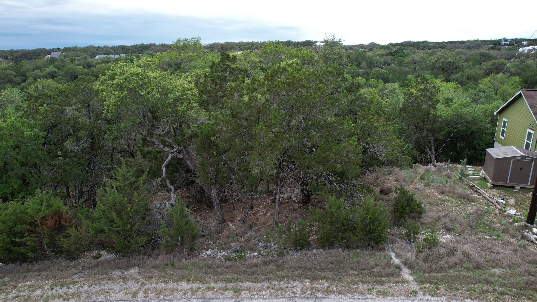 Low aerial at the road along the frontage of 183 Palm — a cleared strip of grass and loose limestone with cedar and brush behind it