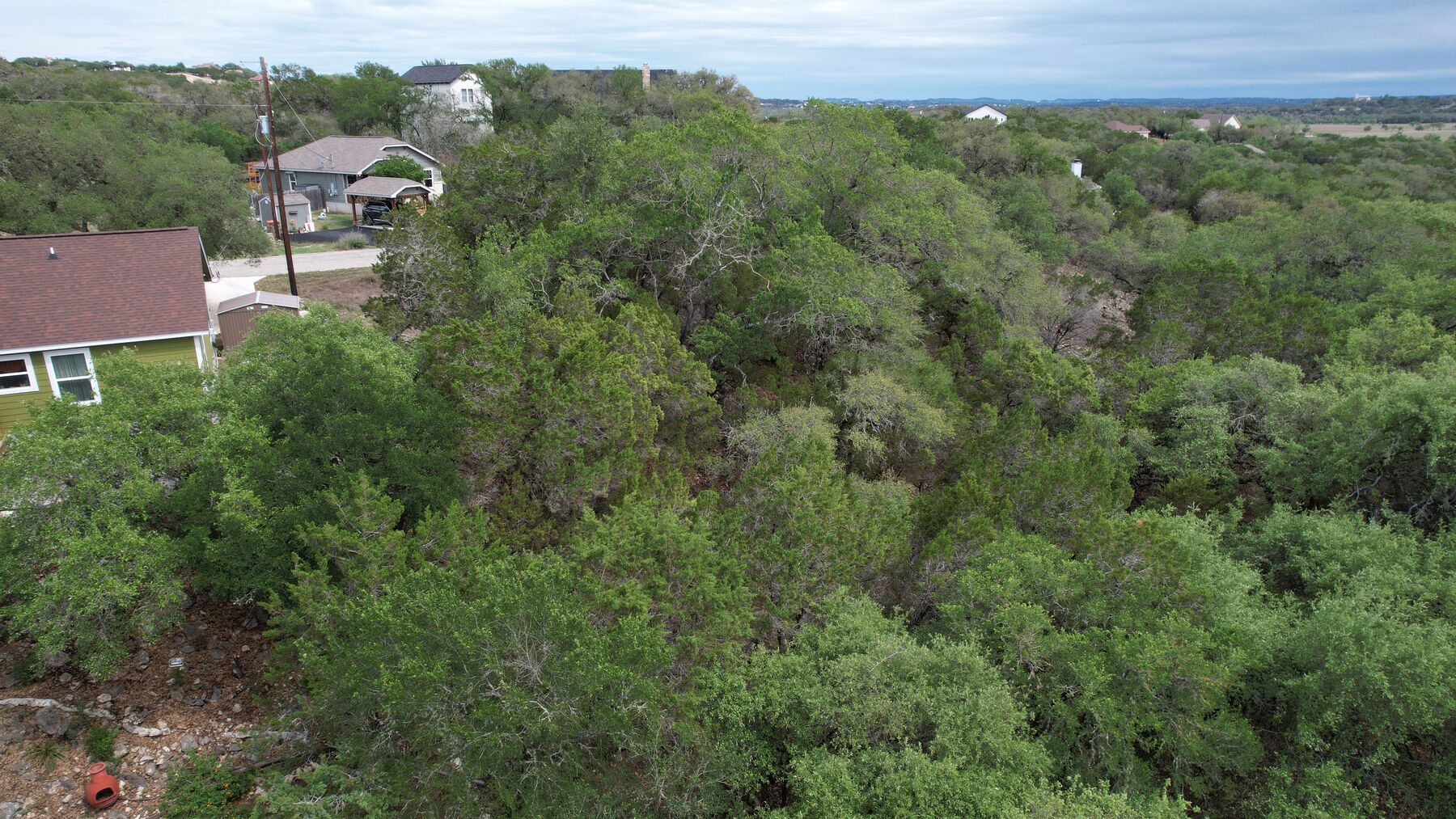 Aerial of the far edge of the tree line at 183 Palm, with exposed limestone at the drop and the ground falling away below