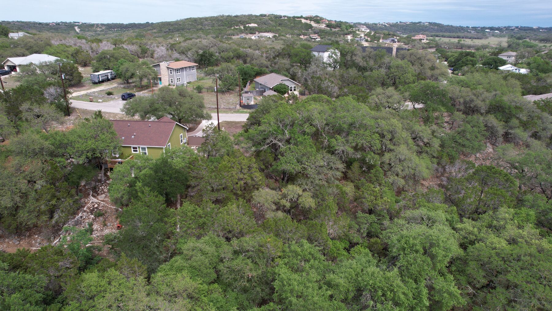 Aerial of the neighbourhood around 183 Palm — single-family homes on wooded lots along the road above the lot