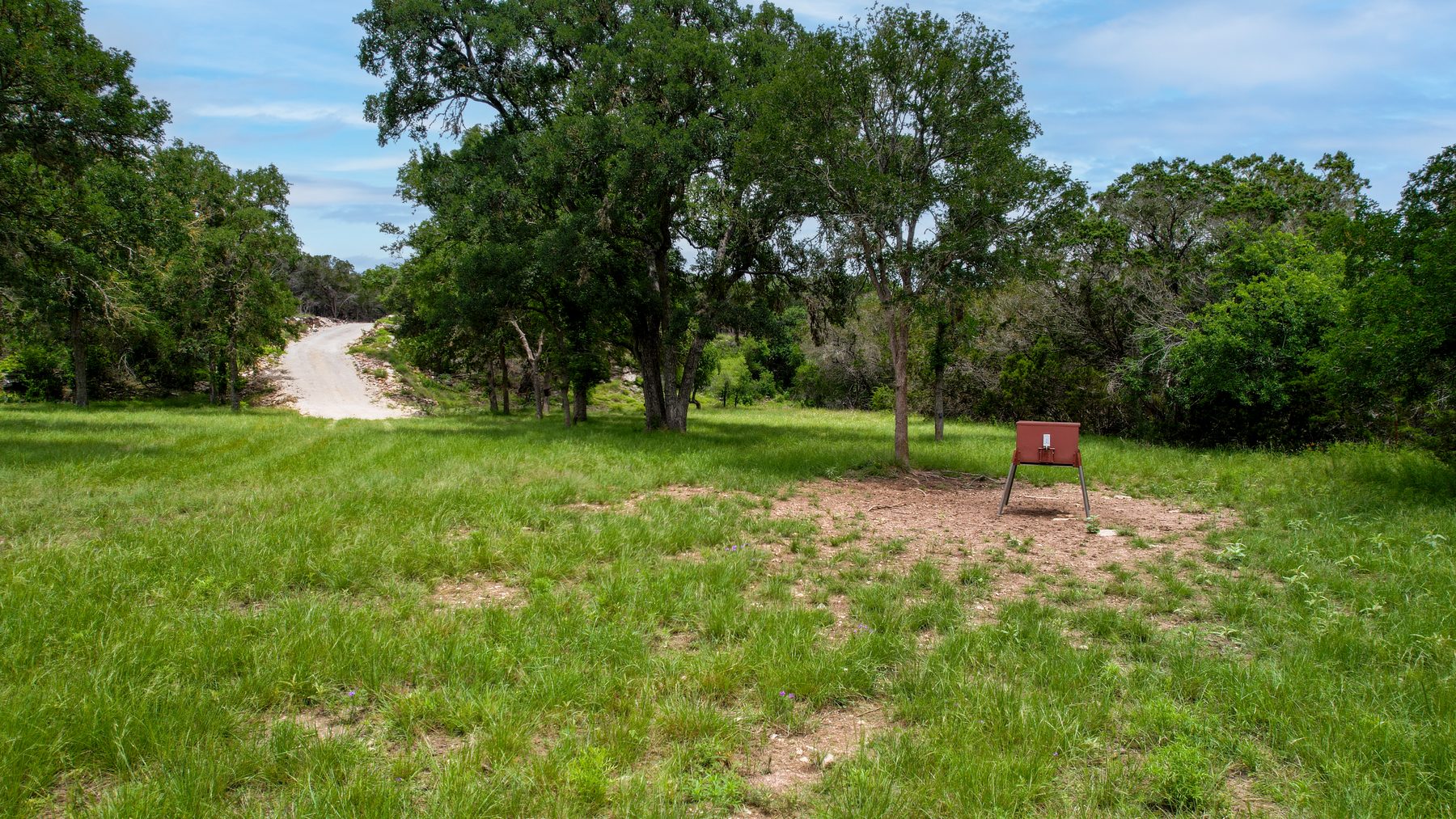 Low aerial view across green grass toward live oaks, with a gravel road curving into the trees