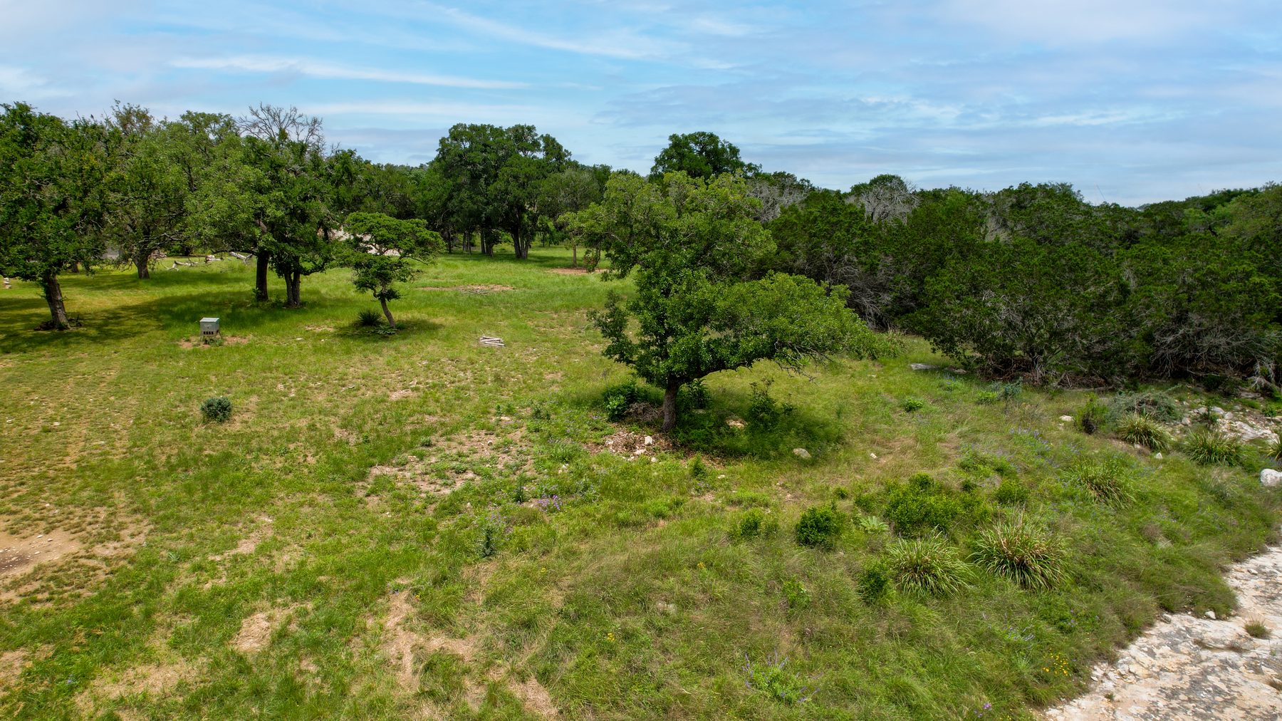 Aerial view of an open meadow of live oaks and grass above a flat limestone shelf at the river's edge