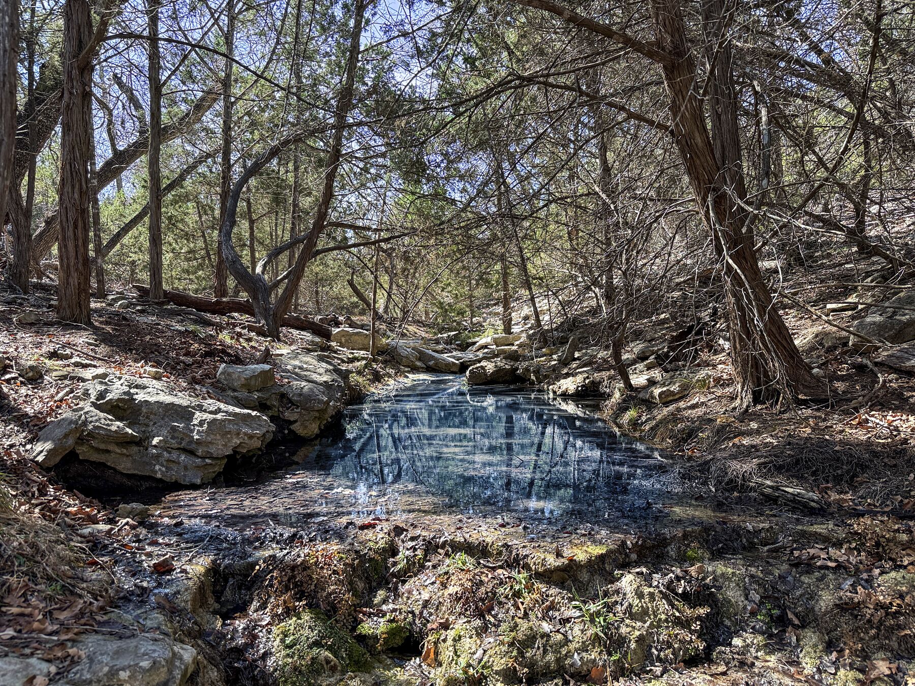 Water sheeting over a wide limestone ledge at 214 Hazelett Dale Rd and falling into a clear pool below, with leaf litter and bare branches at the edges of the frame