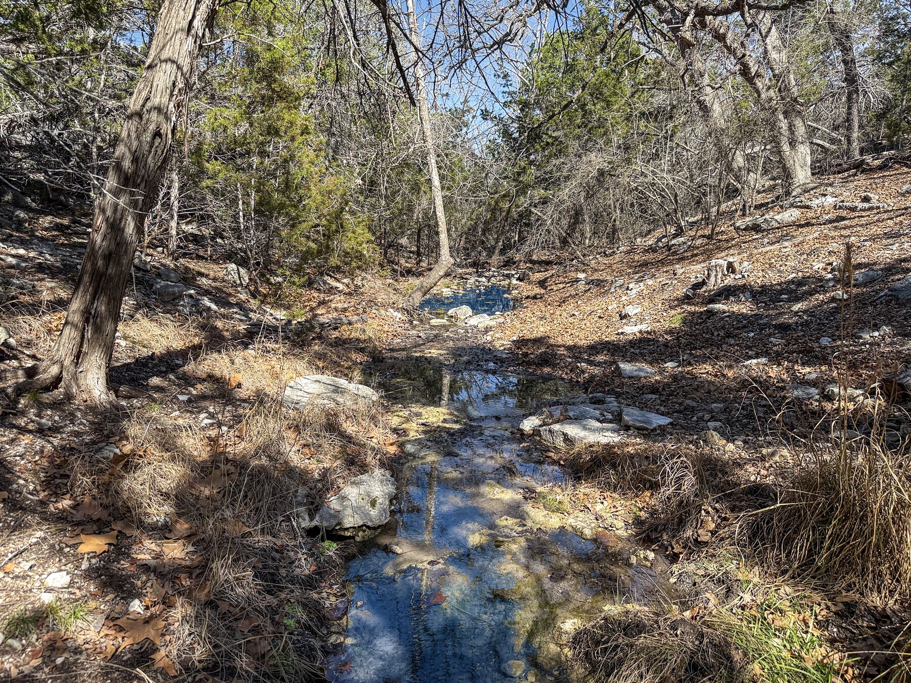 The creek channel at 214 Hazelett Dale Rd at eye level — clear water standing between flat limestone shelves with the winter sky reflected on the surface