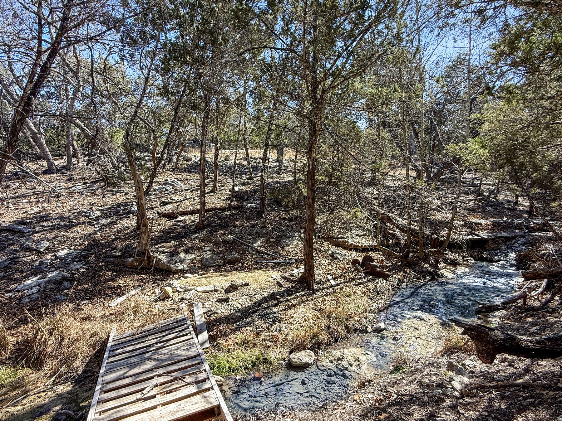 The wooden footbridge at 214 Hazelett Dale Rd seen from the far side of the creek, looking up a wooded bank of bare hardwoods and cedar