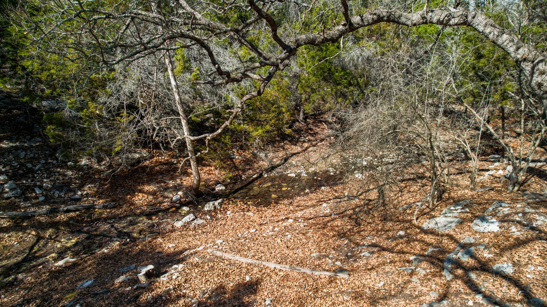 Aerial along the creek corridor at 214 Hazelett Dale Rd, the channel winding through bare February hardwoods with cedar green on the slopes either side