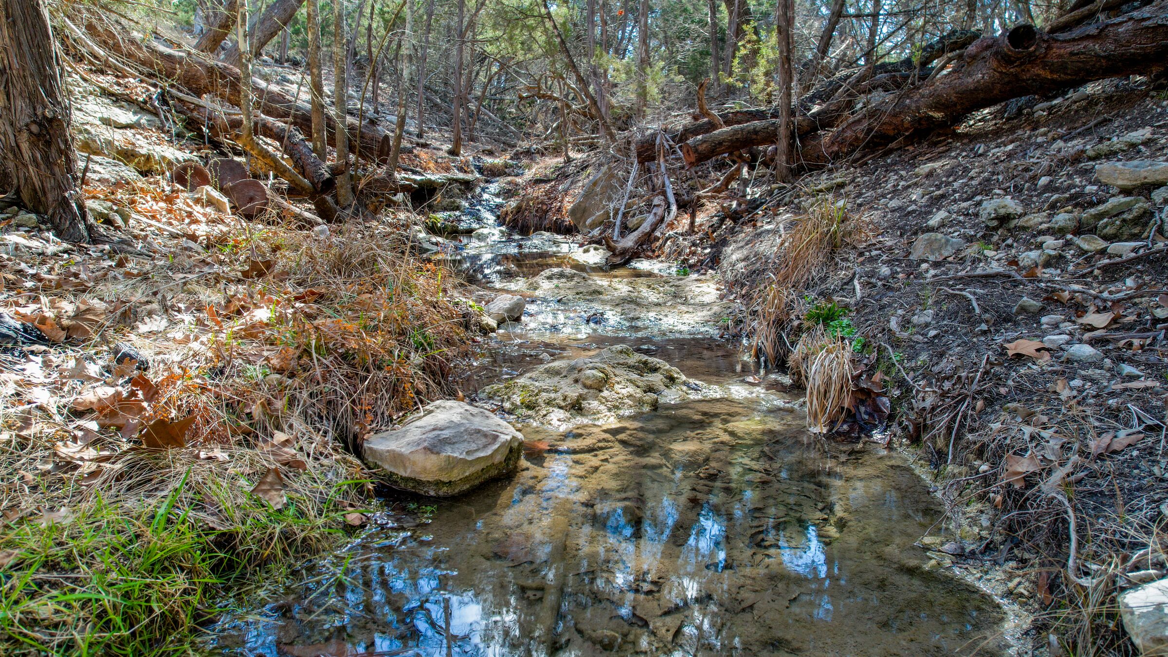 The spring-fed creek at 214 Hazelett Dale Rd seen from the air — clear water running over a limestone shelf and dropping in a small cascade, with cedar-lined banks on both sides and bare February hardwoods above