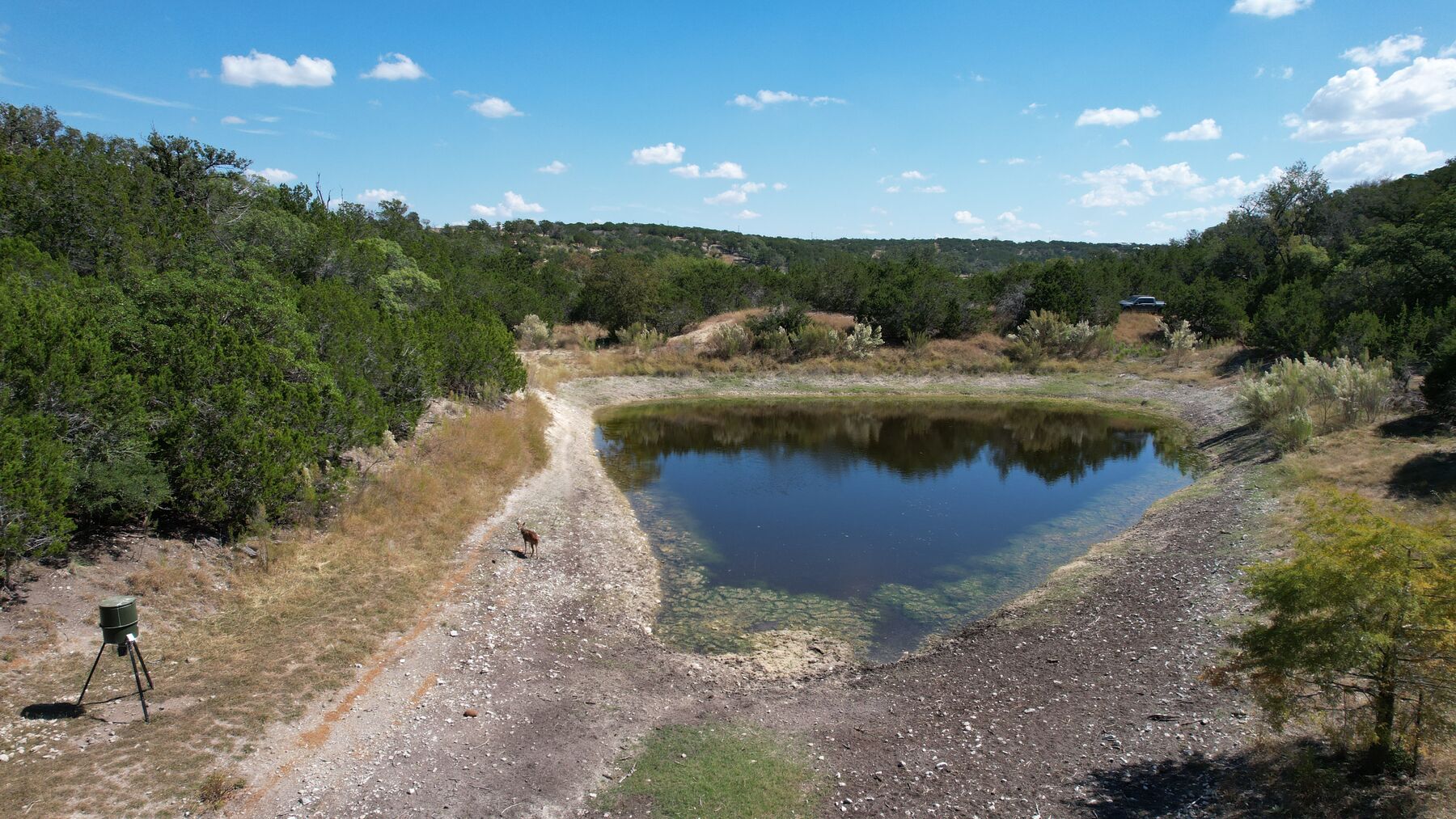 Mid-height aerial at 230 Marshall Dr with a pale caliche track running down the west side of the pond to the water&rsquo;s edge