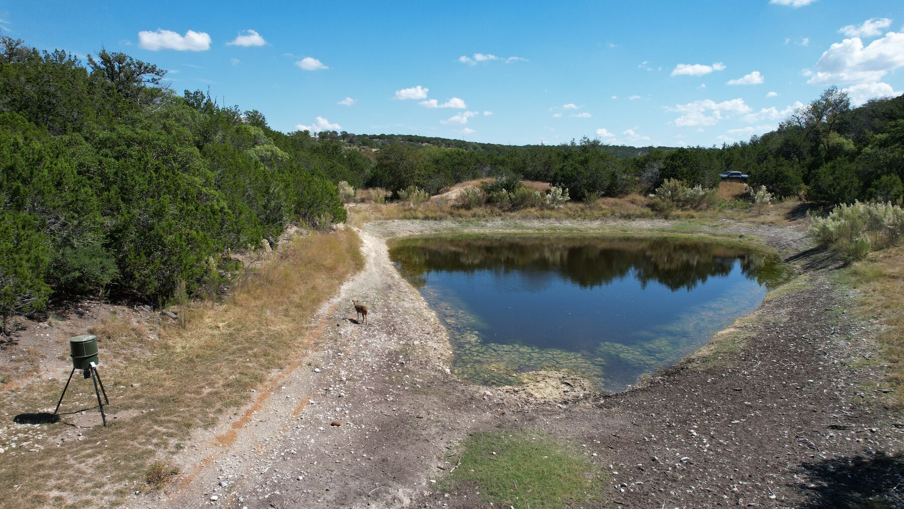 Low aerial close over the pond at 230 Marshall Dr, exposed rock and dry shoreline visible around the whole waterline
