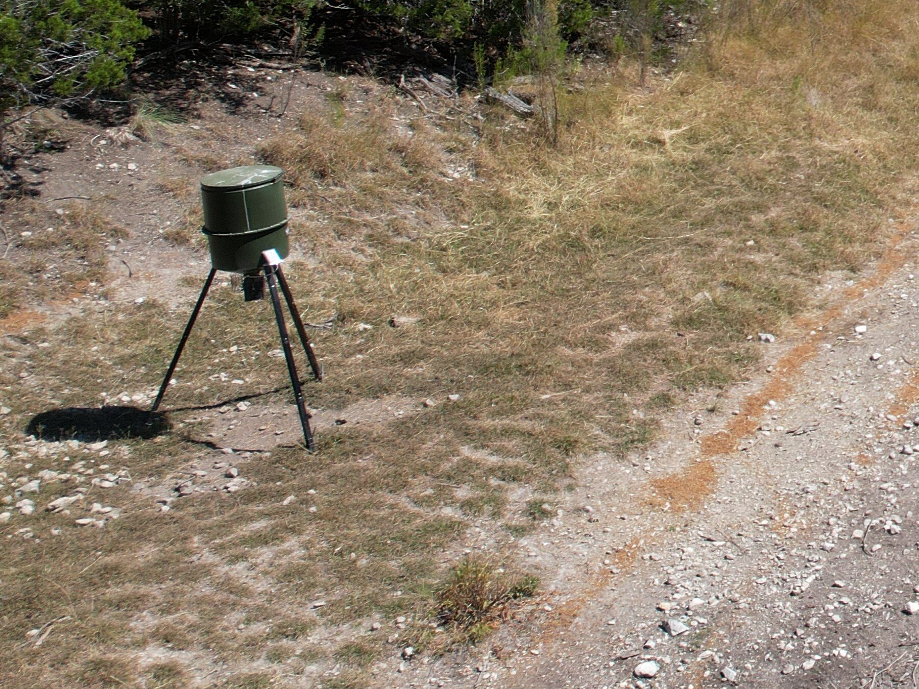 A green barrel feeder on a black tripod standing on the pale caliche flat west of the pond at 230 Marshall Dr, casting a hard shadow