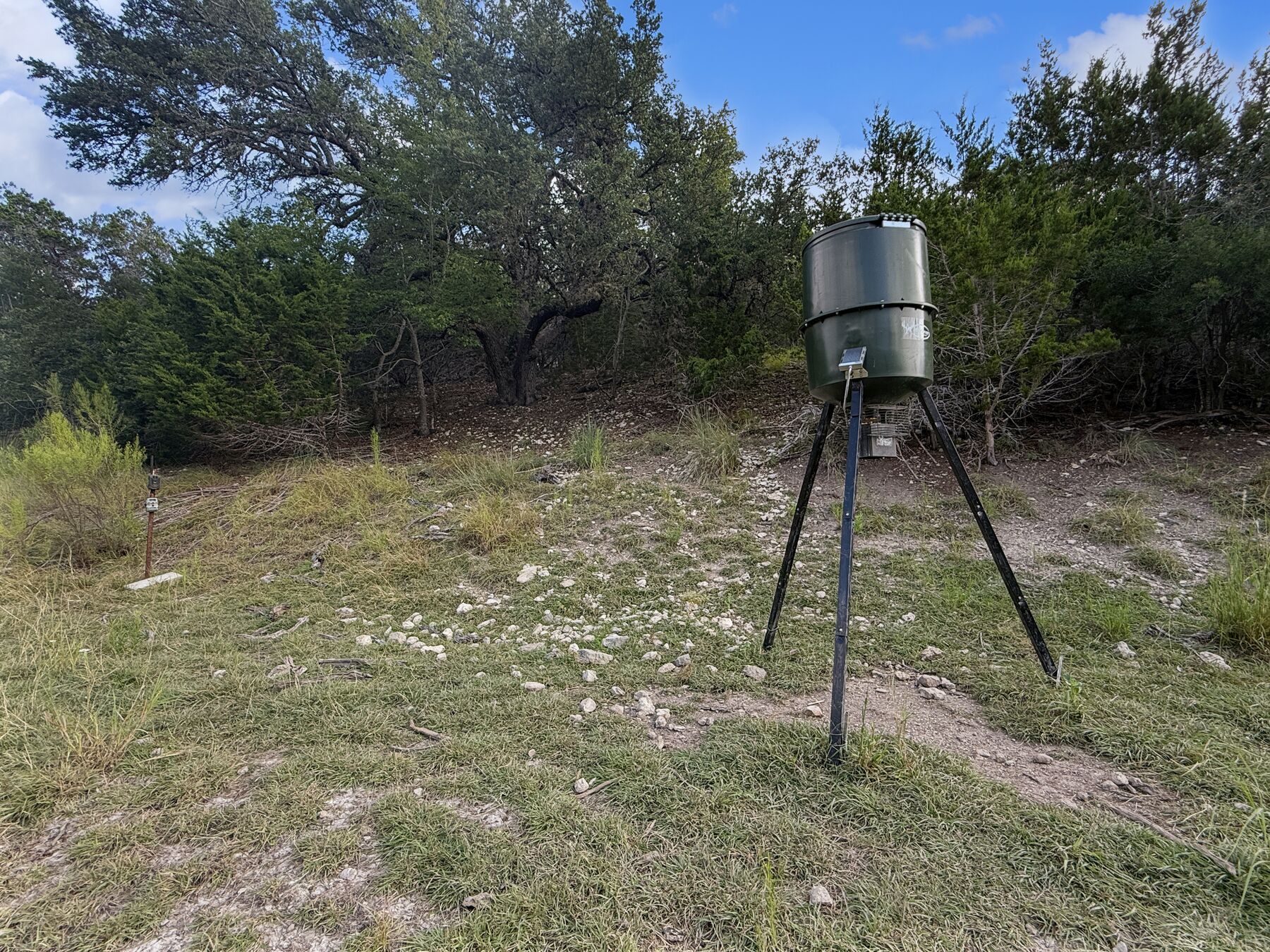Ground-level photograph of the green barrel feeder on its black tripod at 230 Marshall Dr, grass and twigs in front of the legs, taken 27 August 2025