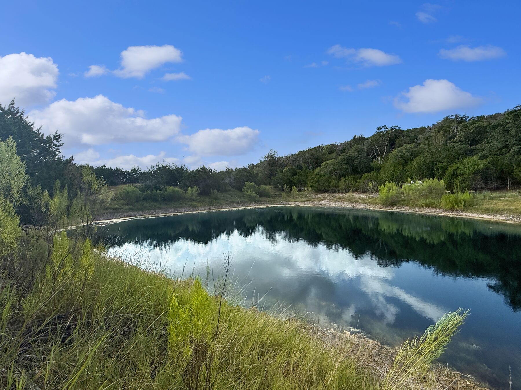 The pond at 230 Marshall Dr photographed from the bank on 27 August 2025, water standing full to the bank with wooded hills behind it