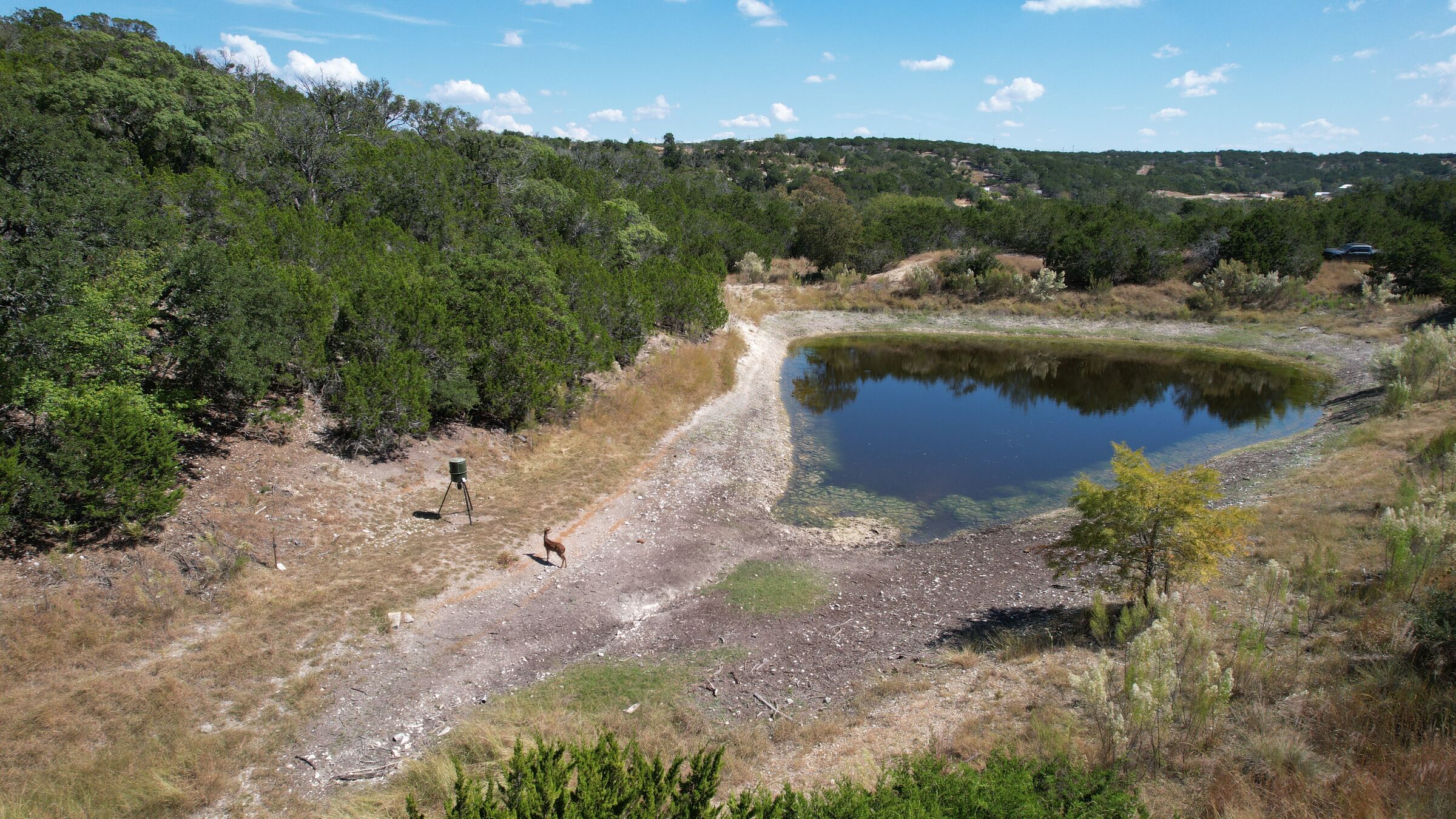 The seasonal pond at 230 Marshall Dr seen from the air on 10 October 2025 — water in a bowl below the west ridge with pale exposed shoreline ringing it, a caliche track down the near side, and cedar and live oak closing the far side