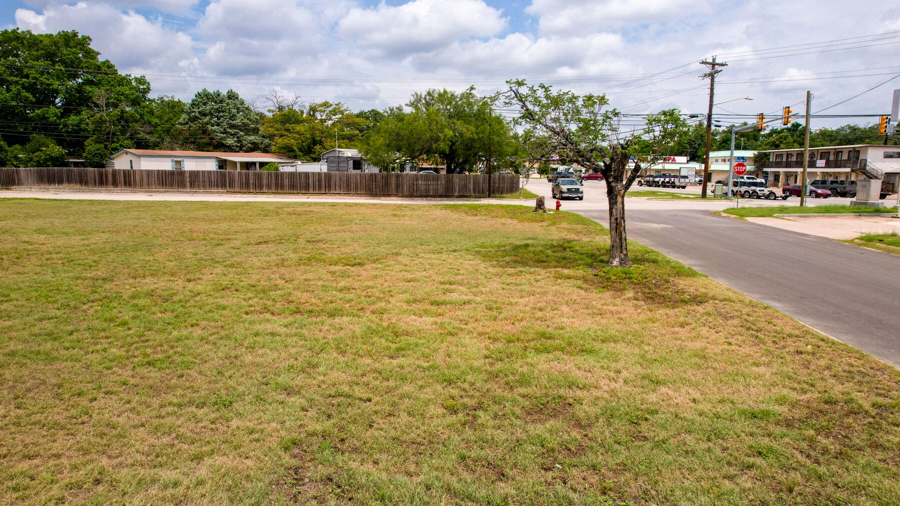 Wide view from the property toward the street corner, with a mature tree at the pavement edge and a fire hydrant on the corner. The intersection and the buildings in the distance are not part of this property.
