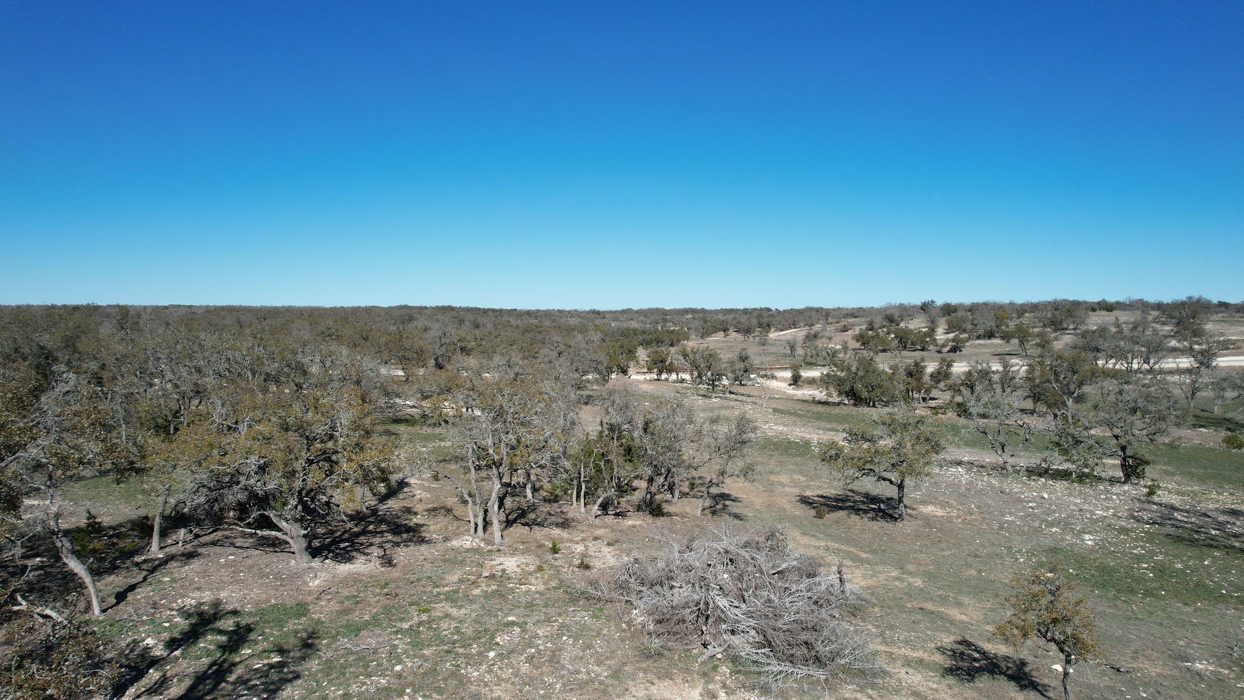 Aerial where the oak cover thins into open ground across the middle of the property